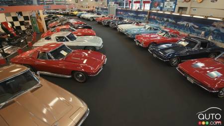 A Massive Collection of Vintage Muscle Cars Is Going to Auction